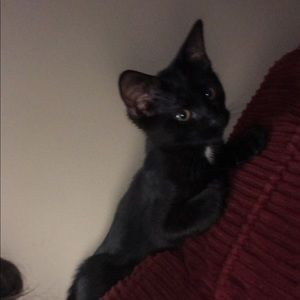 Meet your Posher, Olivia